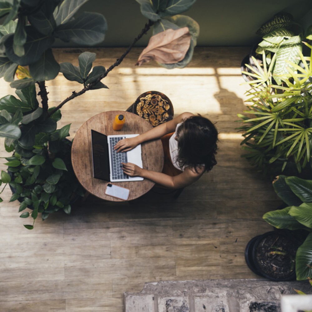 workpass